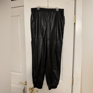 Aritzia Leather Joggers